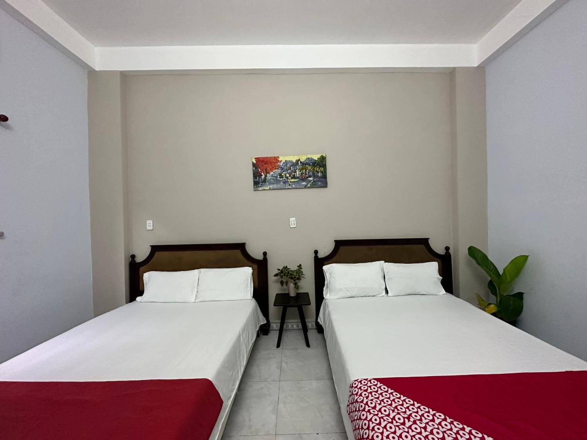 Oyo 1187 Suoi Da Motel Đà Nẵng Exterior foto